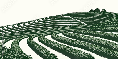 Aerial view of a vast, terraced landscape with lush greenery and winding paths. Vector