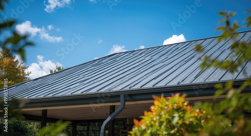Modern metal roof with gutt...