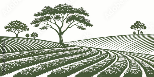 A serene landscape of trees standing tall in a vast, open field under a clear sky Vector