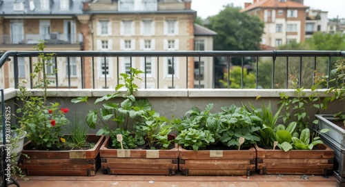 Balcony and terrace gardeni...