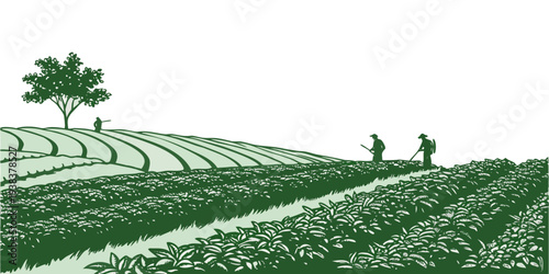 A serene landscape of rolling hills covered in lush green grass and dotted with trees Vector