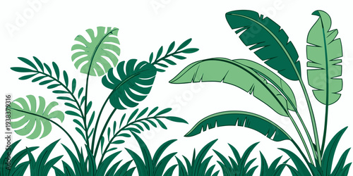 A vibrant illustration of various tropical plants and foliage in a lush green setting. Vector