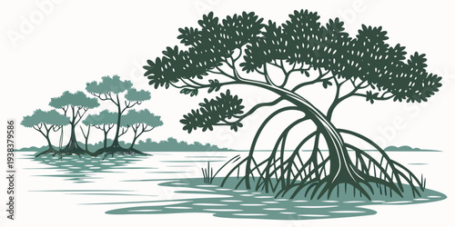 A serene mangrove forest with trees growing in water, showcasing nature's resilience and beauty. Vector