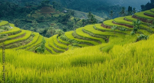 Agricultural terraces rich ...