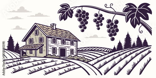 A serene countryside farmhouse nestled among rolling vineyards and lush trees Vector