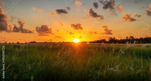 Bright and warm orange suns...