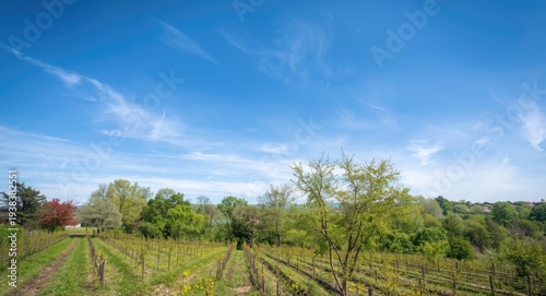 A cultivated landscape feat...
