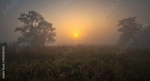 Atmospheric artwork of a fo...