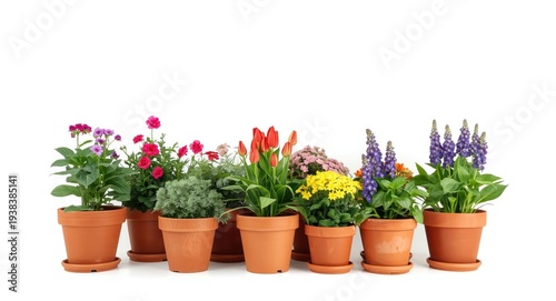 Assorted flowers planted in...