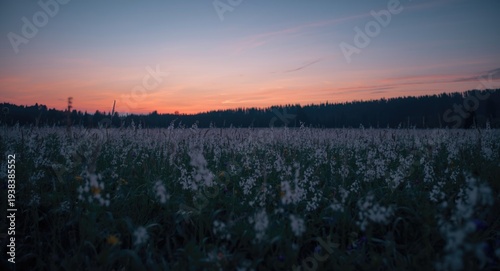 Calm dusk background showca...