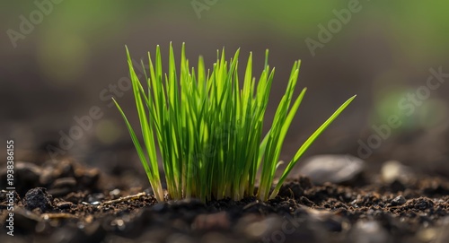 close up nature shot of a p...