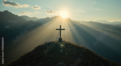Calm morning rays spotlight...