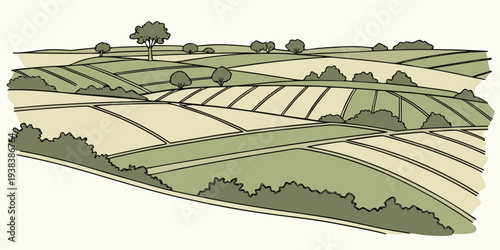 Aerial view of a golf course with lush green fairways and sand traps Vector