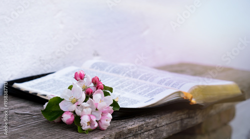 Photography Open Bible with spring apple blossom on wooden background, Easter religious concept, spiritual life and hope
