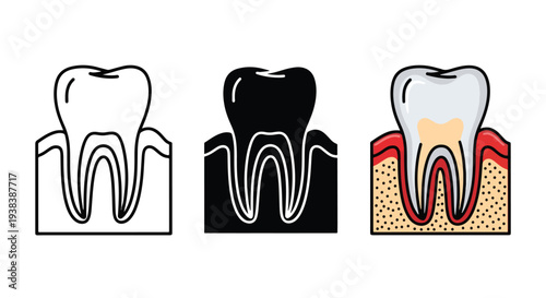 Dental health icons set teeth stages vector - SVG and PNG icons - Vector Icons and Stickers - PNG, SVG, EPS - Glyph and solid icon set - Icon vector - Icon Silhouette - Clipart