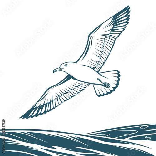 A majestic seagull soaring over the ocean waves with its wings spread wide Vector