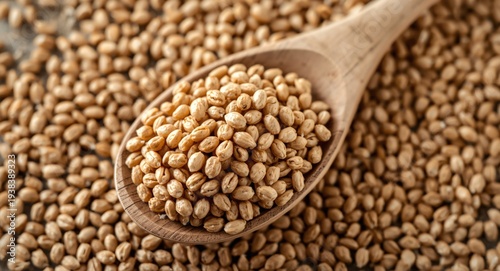 Buckwheat groats on wooden spoon with grains surrounding demonstrating organic texture and healthy food ingredients
