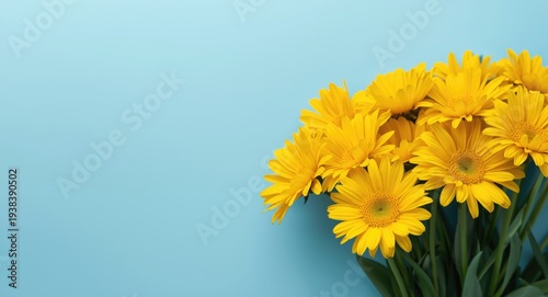 cheerful yellow flowers dis...