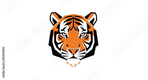 Tiger Head Illustration with Detailed Facial Features.