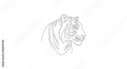 Tiger Head Line Art Illustration.