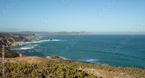 Coastal habitat of a renown...