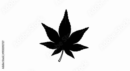 Silhouette of a stylized maple leaf with a delicate stem, rendered in black on a white background