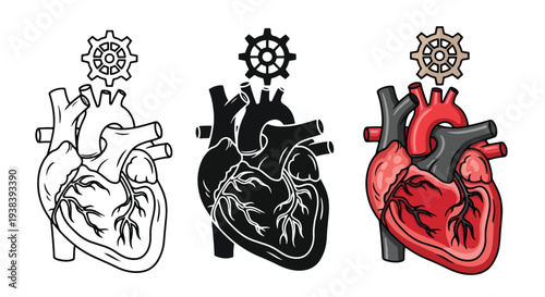 Heart health stages vector icon set medical - SVG and PNG icons - Vector Icons and Stickers - PNG, SVG, EPS - Glyph and solid icon set - Icon vector - Icon Silhouette - Clipart