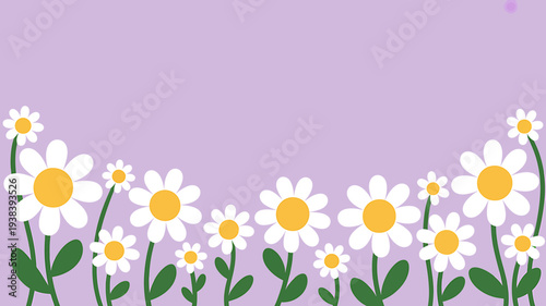 White daisies with yellow centers on green stems and leaves on purple background