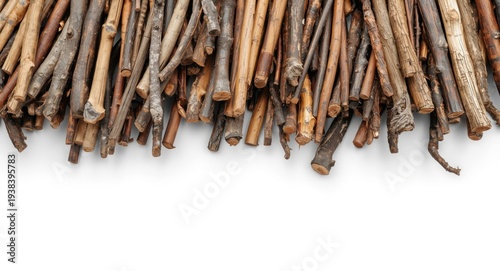 Collection of wooden twigs ...