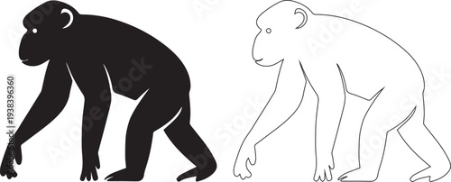 Monkeys in contrasting poses for design and artistic projects
