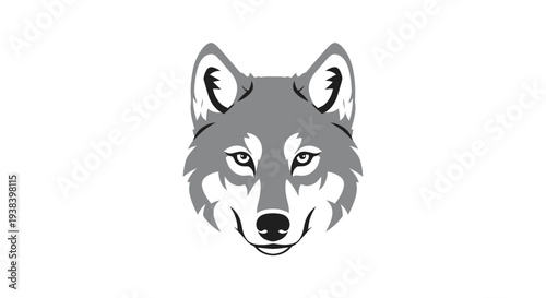 Wolf Face Closeup Gray Fur.