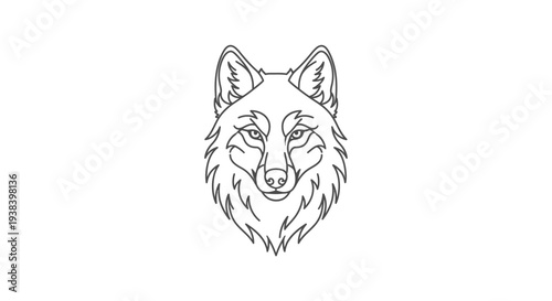 Wolf Head Drawing Line Art Portrait.