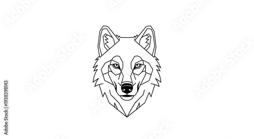 Wolf Face Closeup Illustration Portrait.