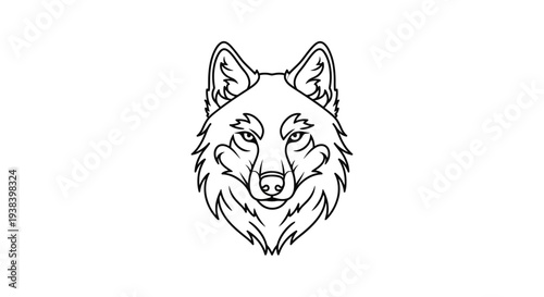 Wolf Head Illustration Line Art Design.