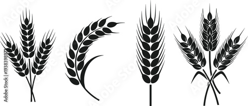 Wheat Icon Set Featuring Various Wheat Stalks and Bundles for Agriculture, Farming, and Harvest Designs