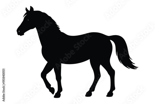 Horse, Equine Silhouette Illustration