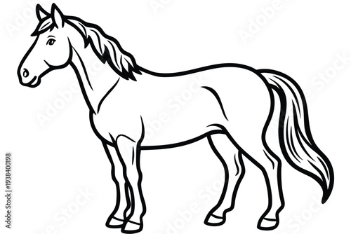 Horse, Equine Line Art Illustration