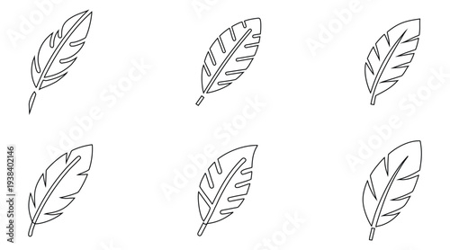 feather line icon vector set, bird feather symbol outline icon vector illustration