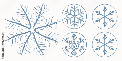 A collection of intricately designed snowflakes showcasing the beauty of winter. Vector