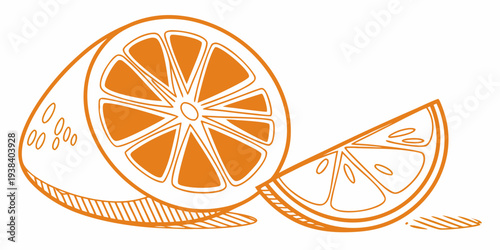 A vibrant illustration of a halved orange with a slice beside it Vector