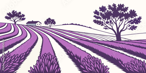 A serene landscape of purple lavender fields stretching towards the horizon under a clear sky. Vector