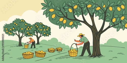 A farmer harvesting oranges from a tree in a sunny orchard with a dog nearby Vector