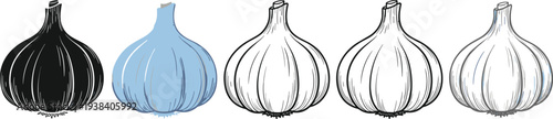 Garlic bulb vector icon set. Black, blue and outline garlic illustrations isolated on transparent background. Simple vegetable symbols for cooking design, kitchen apps and organic food concept.