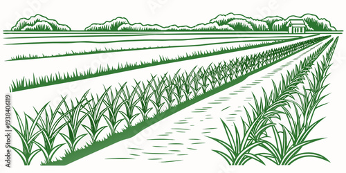 A detailed illustration of a suspension bridge with cables and towers over a landscape Vector