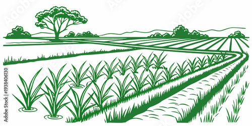 A serene landscape of rolling hills covered in lush green grass and dotted with trees. Vector