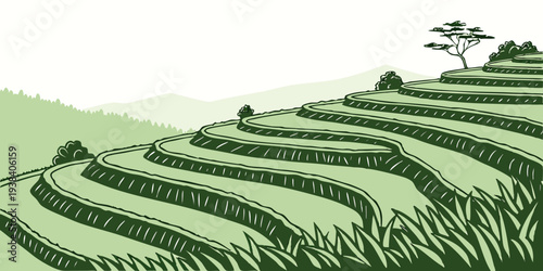 Aerial view of terraced farmland with trees in the distance on a sunny day Vector