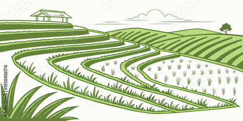 A serene golf course with lush green grass and rolling hills under a clear blue sky Vector