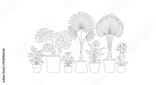 Collection of various detailed line art tropical houseplants arranged beautifully in white pots