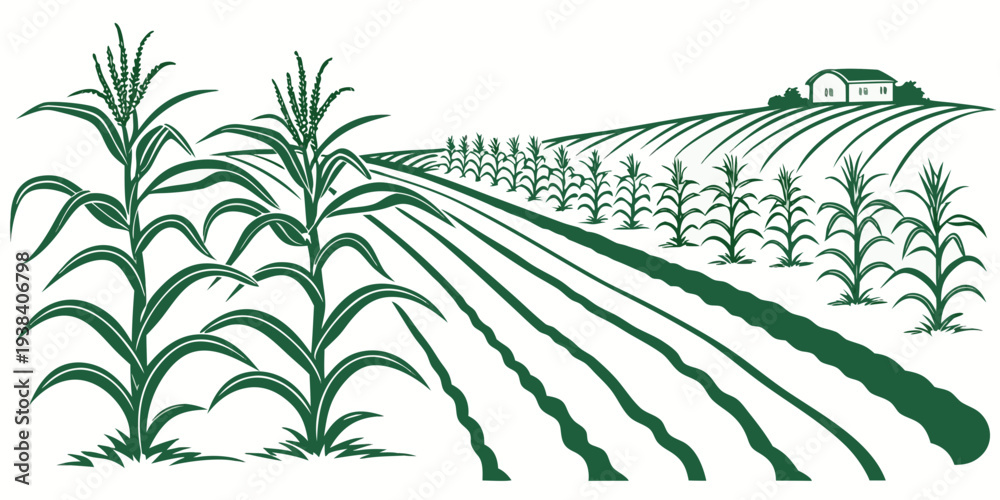 Fototapeta premium A vast field of corn stretches out under a clear blue sky with mountains in the distance Vector