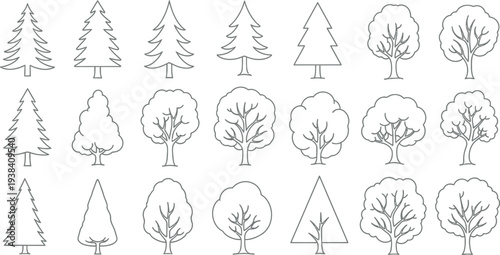 Collection of diverse stylized black outline drawings representing various deciduous and coniferous trees